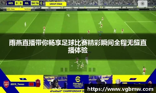 雨燕直播带你畅享足球比赛精彩瞬间全程无缝直播体验