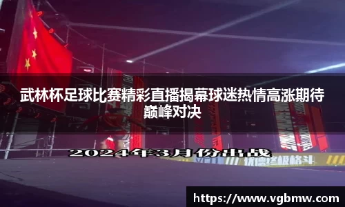 武林杯足球比赛精彩直播揭幕球迷热情高涨期待巅峰对决