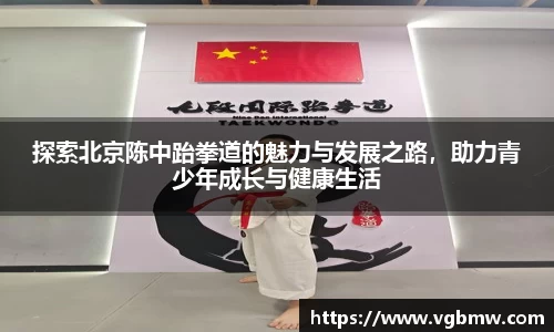 探索北京陈中跆拳道的魅力与发展之路，助力青少年成长与健康生活